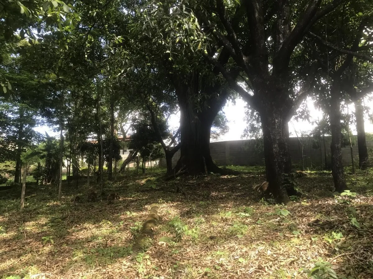 Terreno em Parque Roberto Belizário, Pedro Leopoldo