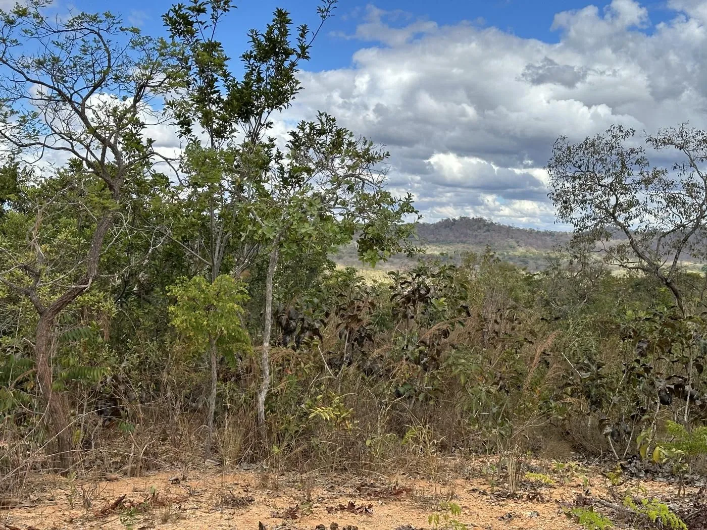 Terreno em Fidalgo (Fidalgo), Pedro Leopoldo