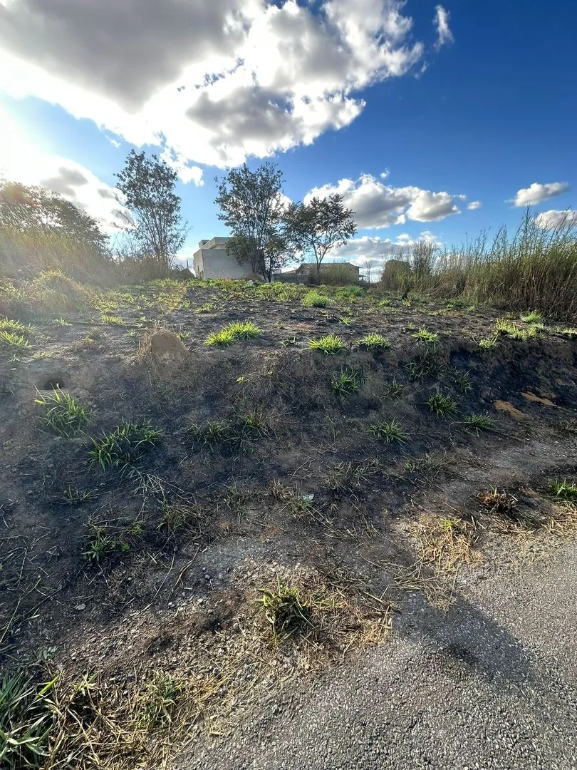 Terreno em Parque Residencial Sonia Teixeira Romanelli, Pedro Leopoldo